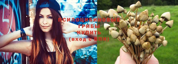 амфетамин Богданович