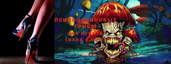 хмурый Богородск