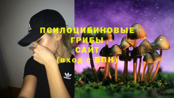 марки nbome Богородицк