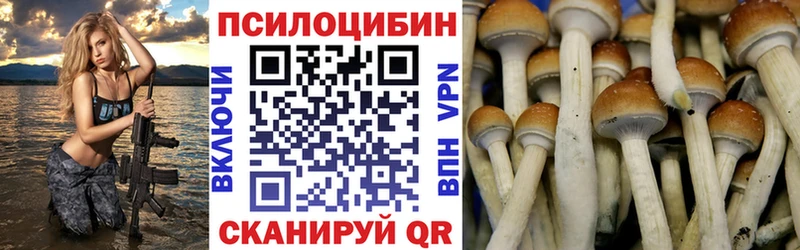 дарк нет клад  Берёзовка  Псилоцибиновые грибы GOLDEN TEACHER 